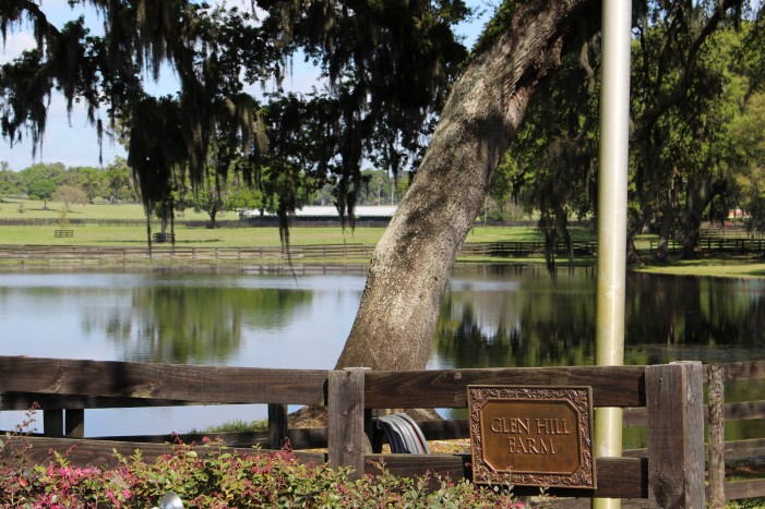 glen hill farm, ocala news, trinity lane, City moves forward; allowing farm land to be over-developed