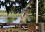 glen hill farm, ocala news, trinity lane,