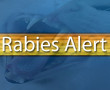 rabies alert, marion county, ocala news