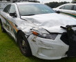 marion county chase, dixie county chase, high speed chase