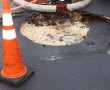sinkhole ocala, winghouse