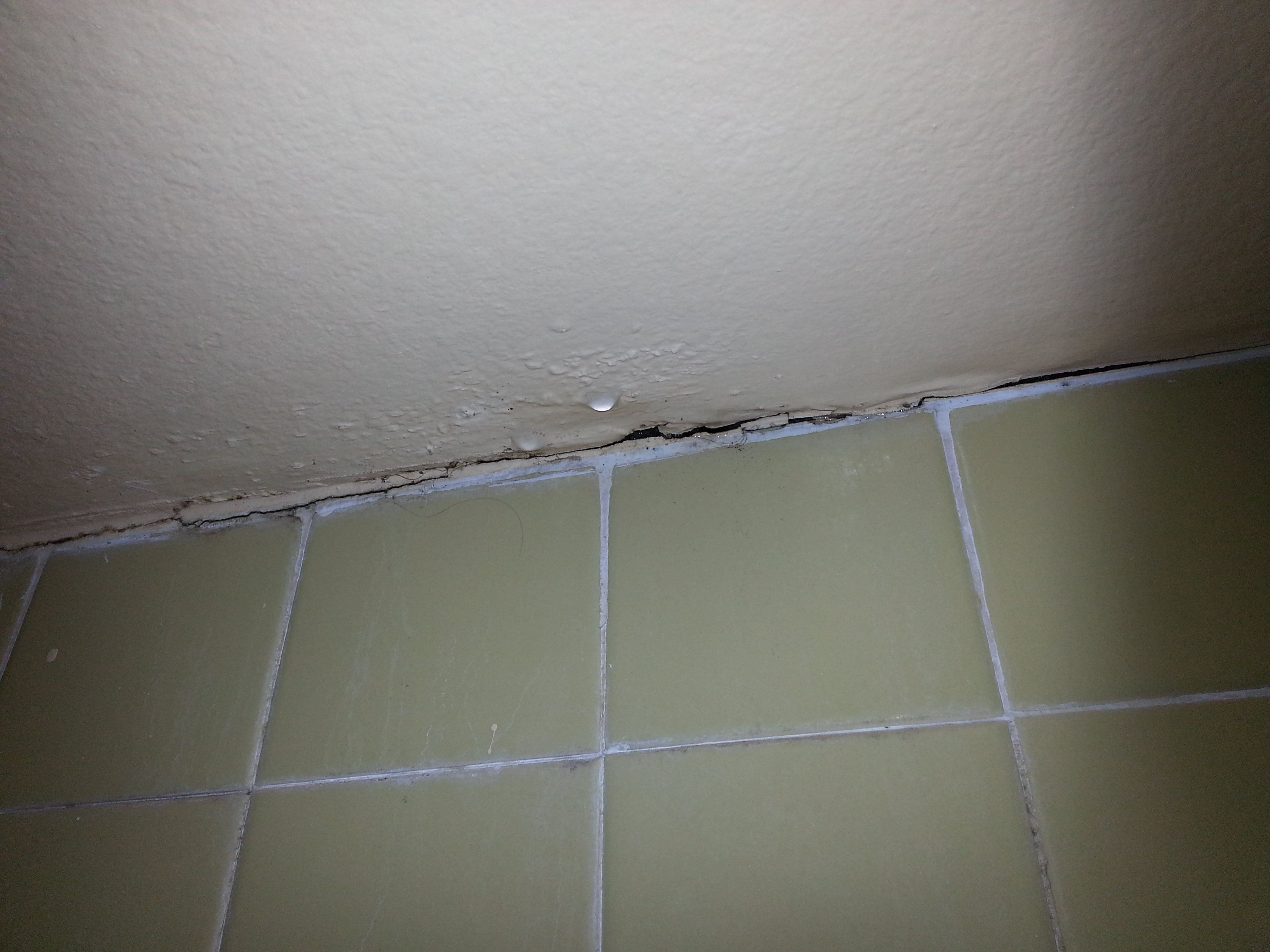 leaky bathroom ceiling Ocala Post