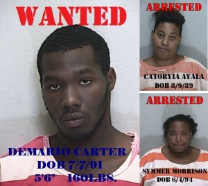 ocala news, marion county news, ocala post,