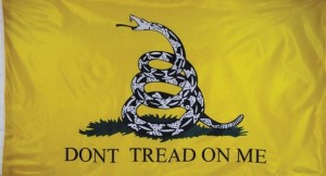 Gadsden flag, dont tread on me, ocala news, ocala city council,