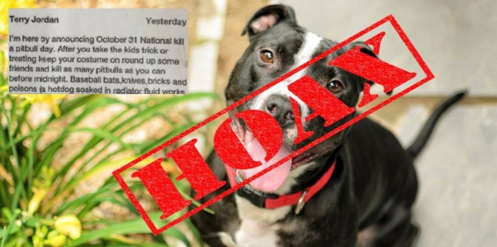 Halloween National Kill a Pit Bull Day , ocala news, snopes, fake, Halloween: National Kill a Pit Bull Day