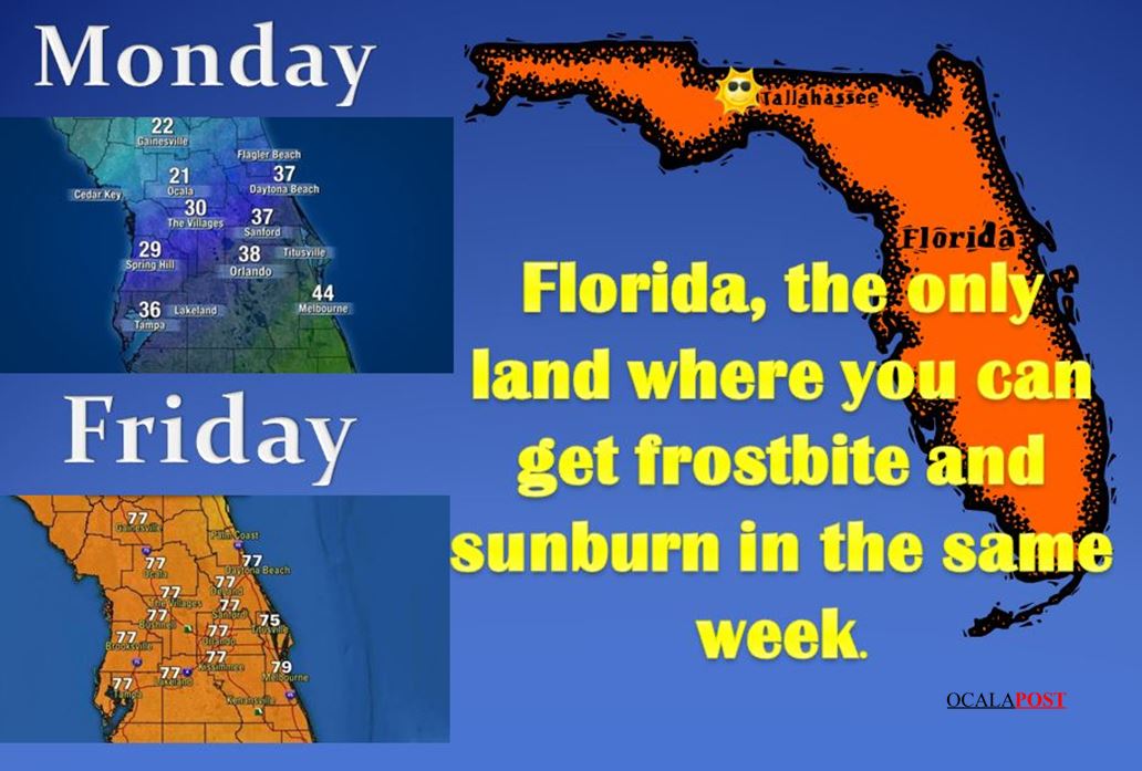 Cold in Florida People in Florida be like Ocala Post