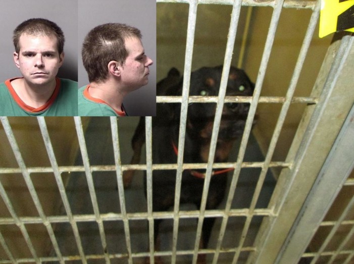 dogs kill kid, ocala news, citrus county news, crystal river news, dogs, rottweilers 2-year-old mauled to death by 4 dogs