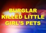 ocala news, marion county news, banner, burglar, pets killed, ocala