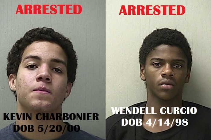 ocala news, car jacking olive garden, marion county, teens, kids jack car, 2 armed juveniles arrested after carjacking