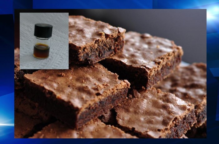 hash oil, brownies, school, daytona news, ocala news, port orange news, New meaning to high school after hash brownies distributed
