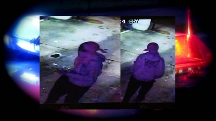 Manhattan Gyros and Subs, attempted robbery, ocala news, marion county news, robbery, thieves Attempted robbery at Manhattan Gyros and Subs; business owners stay alert