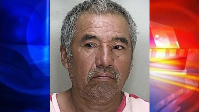 ocala news, domestic violence, illegal alien, illegal immigrant, op, ocala post Man struck woman in face with full beer bottle