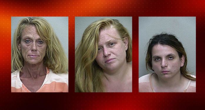 prostitution, ocala news, marion county news, ocala post Woman agreed to anal and oral sex for purchase of antibiotics