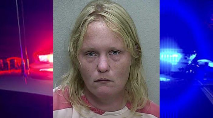 dog stolen, ocala news, marion county news, ocala post, Dog was sold to help pay for funeral then stolen back