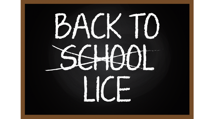 lice, marion county school, lice in school, ocala post, ocala news More lice cases than usual at some Marion schools