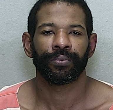 ocala news, ocala post, rattlesnakes, fwc Dogs, venomous snakes removed from Ocala home
