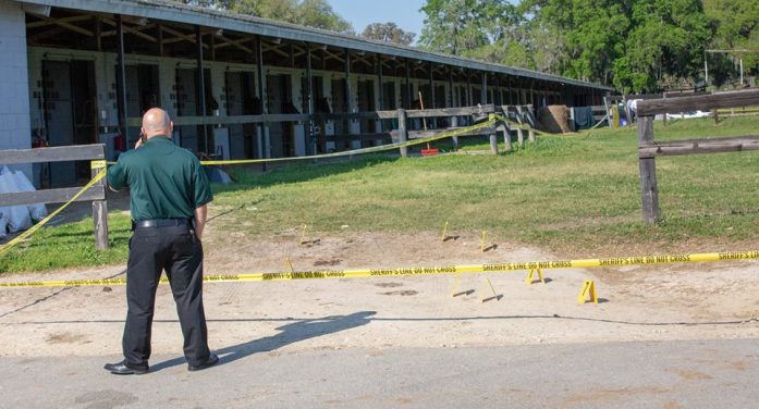 horse farm shooting, ocala news, ocala post Body discovered at horse farm
