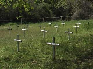 Bodies Are Finally Being Exhumed From Graves Found On Dozier School Grounds