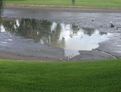 Woodland Village Sinkhole Swallows Five Acre Lake