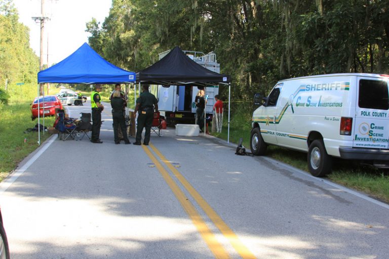 ocala, polk county, human remains, bones