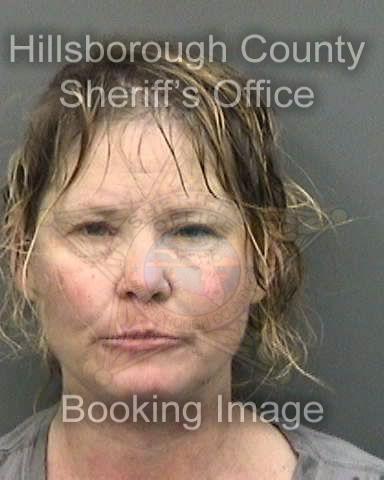 Hillsborough Woman Jailed After Attacking Deputies