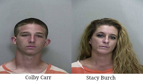 colby carr, stacy burch, ocala post, ocala news, op, ocala