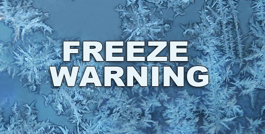 Temperatures Lowest In Decades – Freeze Warning