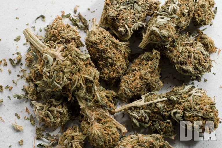 medical marijuana dispensary