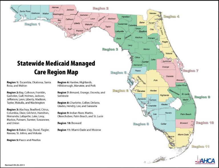 Statewide Medicaid Managed Care