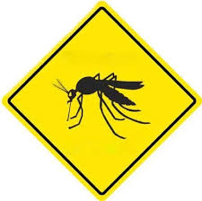 WARNING: Case Of Eastern Equine Encephalitis Confirmed