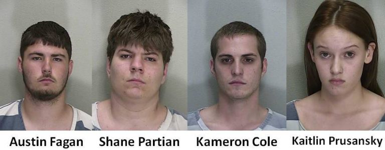 BB gun shooting suspects charged in $22K crime spree