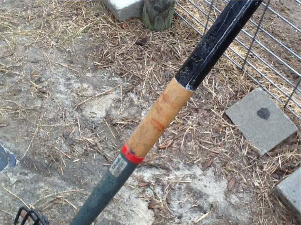 Pitch Fork Used to Stab Sheep