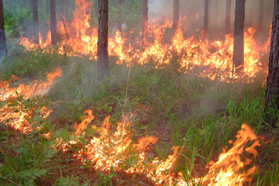 Prescribed Burn Alert