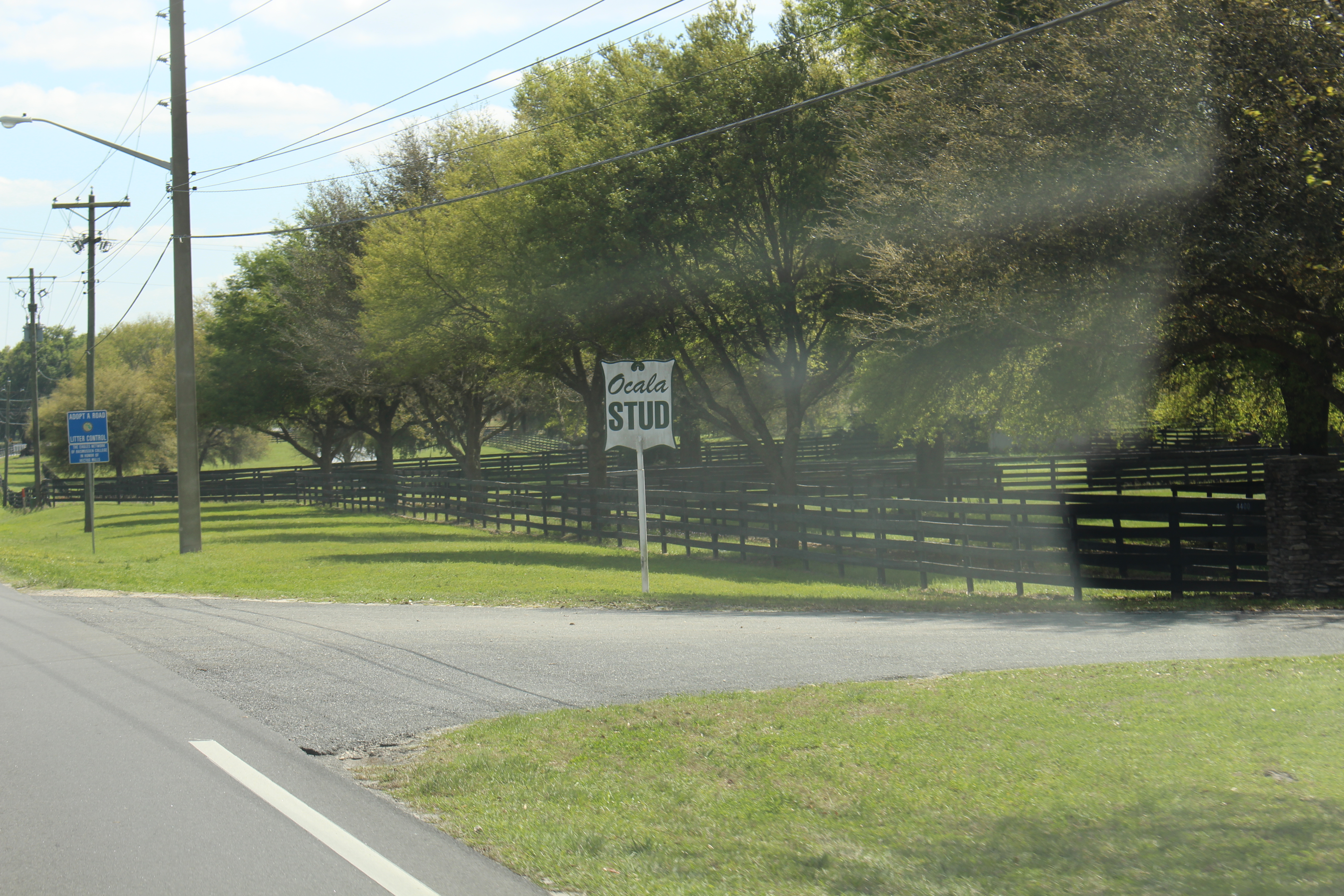 marion county, ocala news, ocala post
