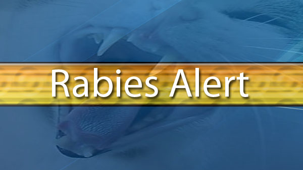 Confirmed Case Of Rabies