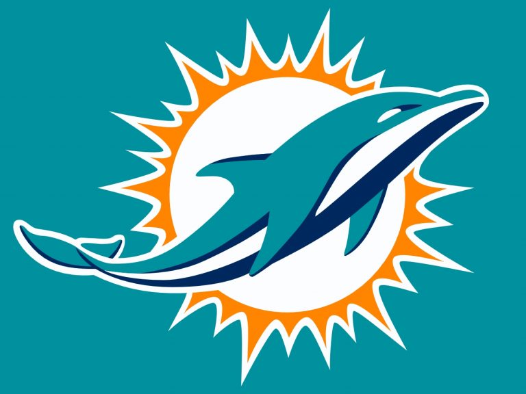 2014 Miami Dolphins preview