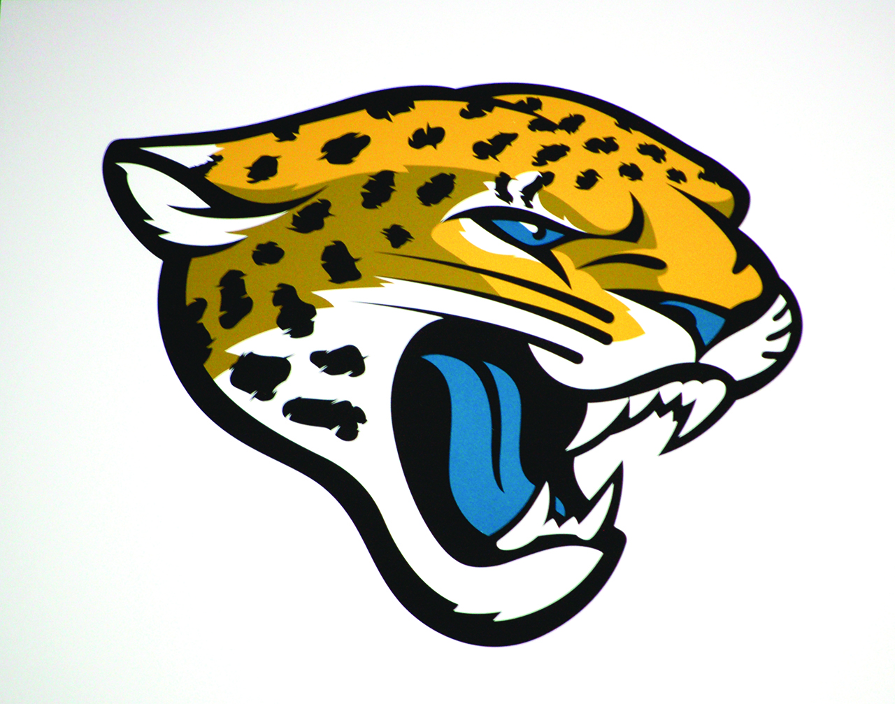 Jacksonville Jaguars , football, nfl