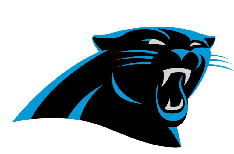 2014 Carolina Panthers preview