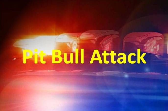 Pit bull attack kills boy