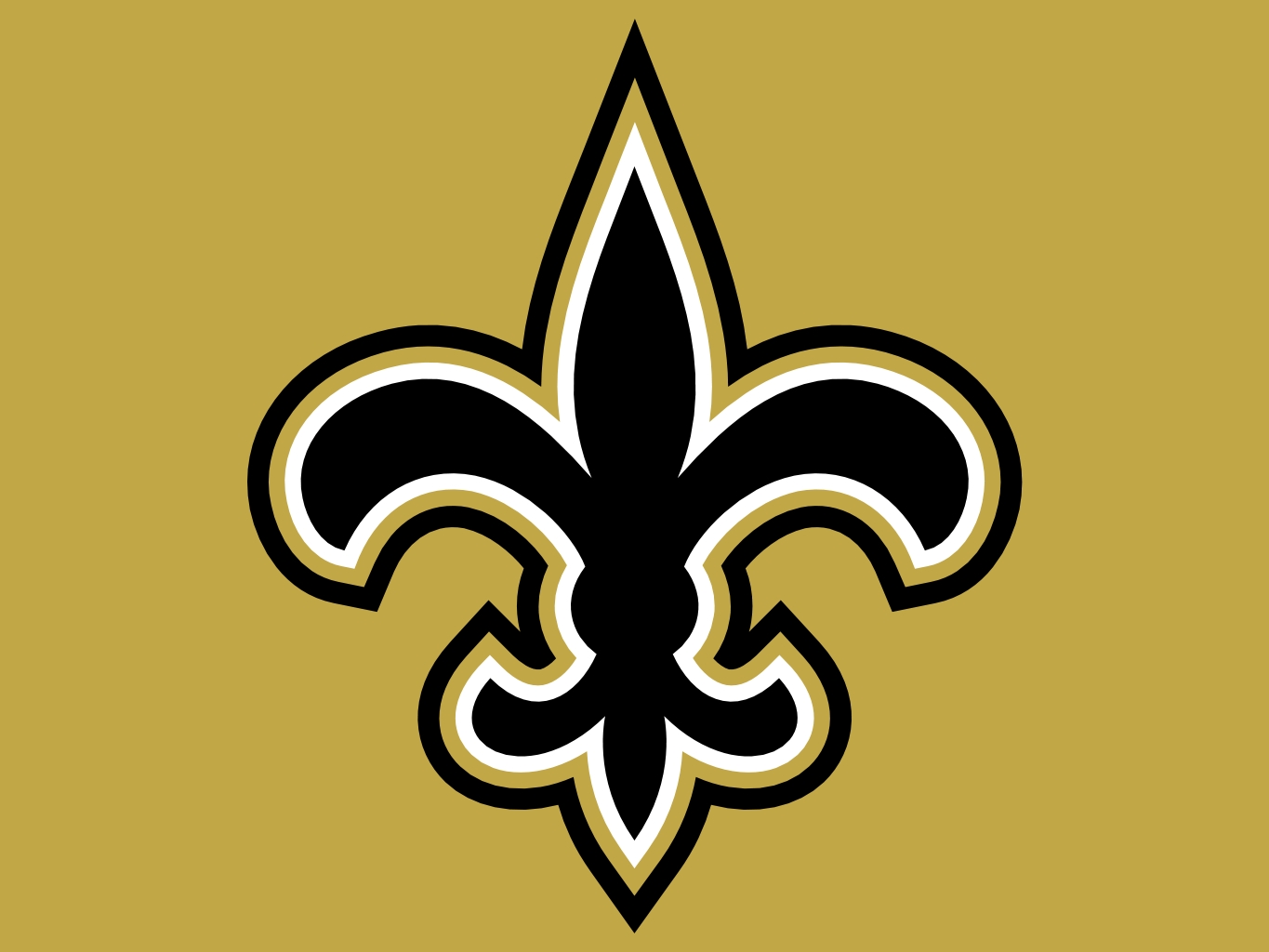 New Orleans Saints, marion county sports