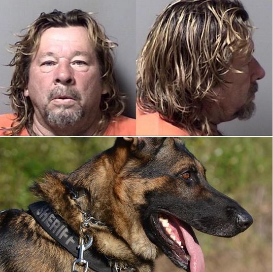 K-9 injured: Man attempts to smash woman’s ankles with hammer