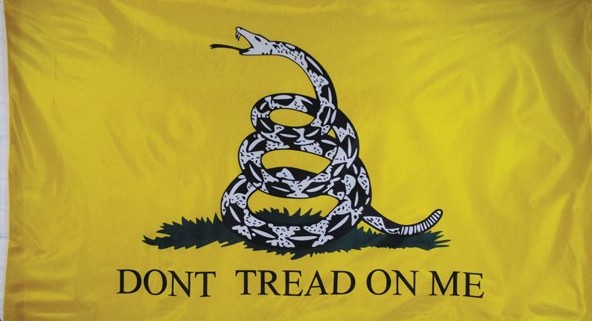 Gadsden flag, dont tread on me, ocala news, ocala city council,