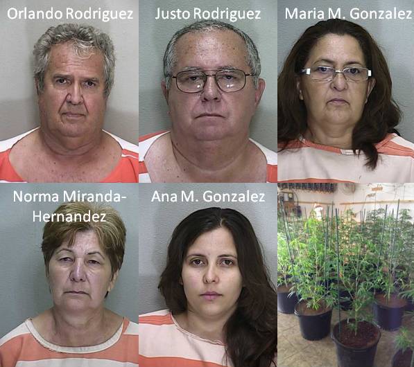 Five busted for marijuana grow houses in Ocala