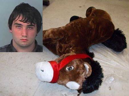 stuffed animal, sean johnson, brooksville, ocala news, ten sex with horse