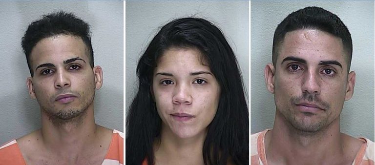 ocala news, gas theft, diesel fuel theft, gas prices, marion county, illegal imigrants
