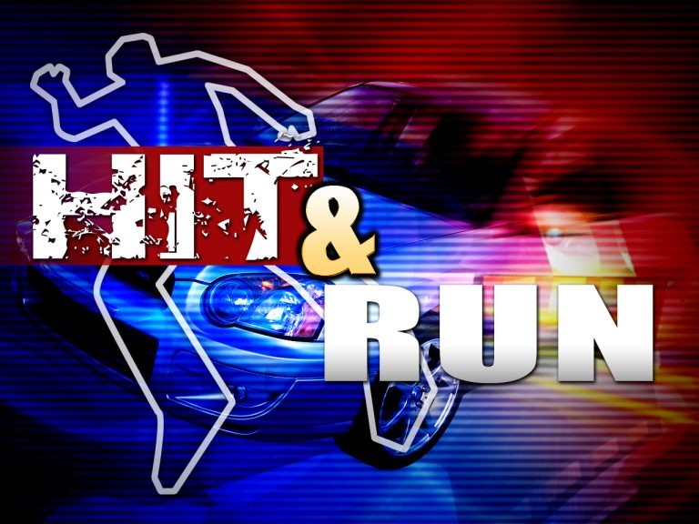 hit and run ocala, ocala news, car accident ocala,