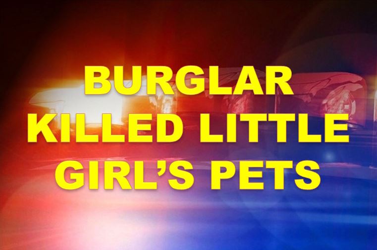 Home burglarized, girl’s pets killed