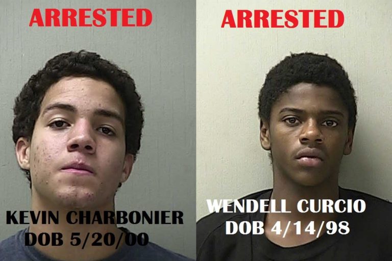 2 armed juveniles arrested after carjacking