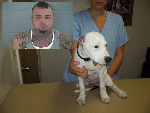 williston news, ocala news, dogs ears
