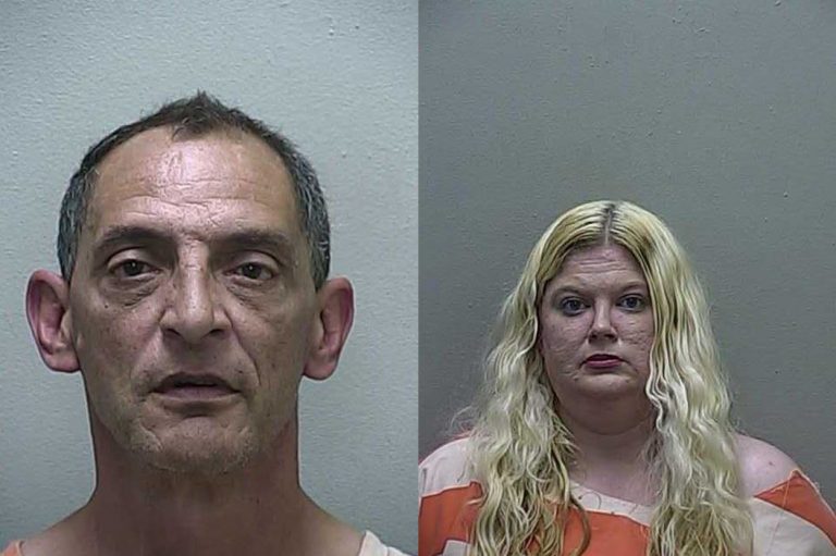 Husband and wife used children to commit grand theft